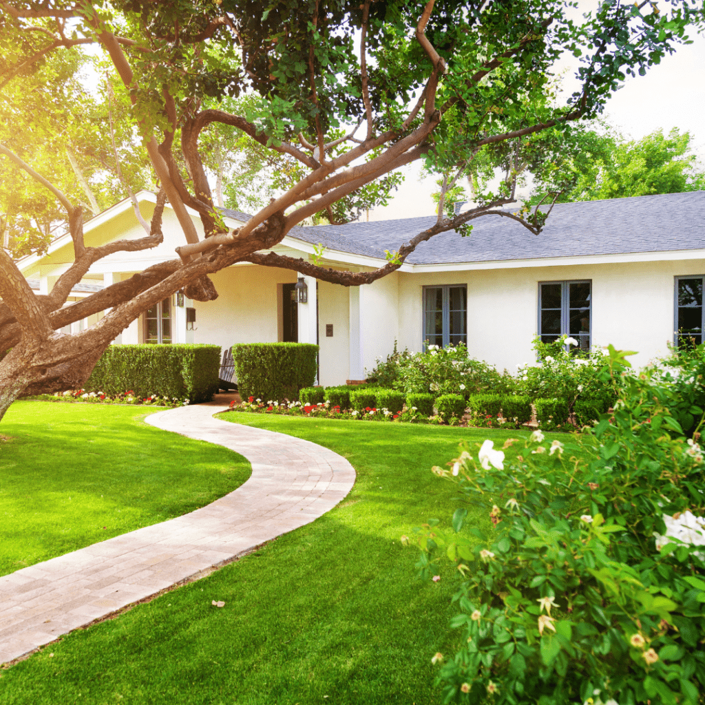 Home and Yard